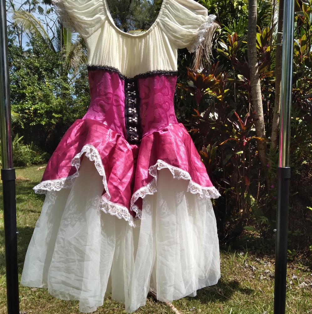 Renaissance Costume Pink Maroon Cream Dress Tulle Ruffle